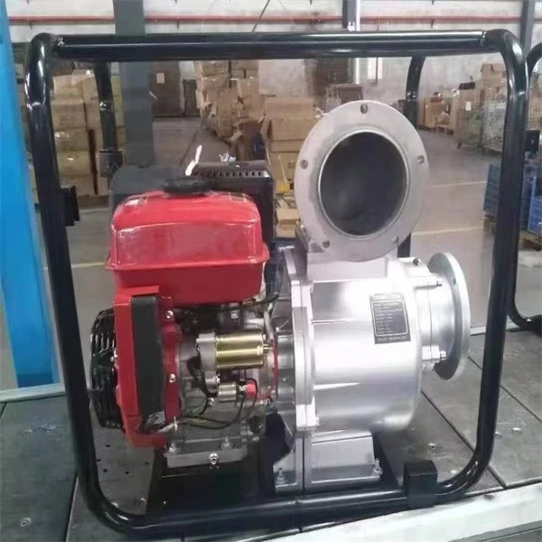 Portable Slurry Pump best